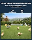 Reolink 16MP UHD 180° Panorama Dual-Objektiv Überwachungskamera, Bewegungsverfolgung, Farbnachtsicht, Spotlight, Smart-Erkennung & Alarme, Zwei-Wege-Audio, IK10 Vandalismussicher, IP67, Duo 3V PoE - 3