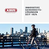 ABUS Bügelschloss Granit XPlus 540 + USH-Halterung - Fahrradschloss mit 13 mm starkem Bügel und XPlus Zylinder - ABUS-Sicherheitslevel 15-230 mm Bügelhöhe - 7